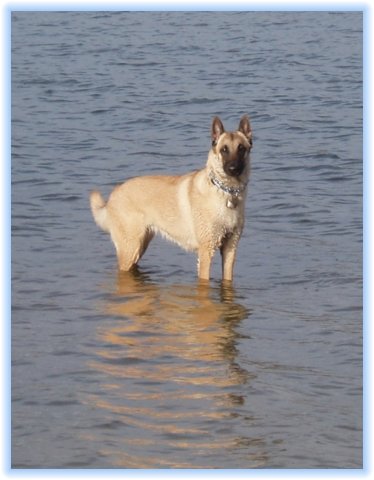 amour_lac_06s2.jpg