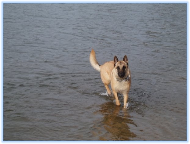 amour_lac_1206s1.jpg