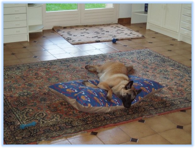 sieste_amour1b.jpg