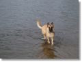 amour_lac_1206s1.jpg