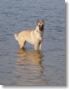 amour_lac_06s2.jpg