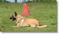 amour_abs1s.jpg